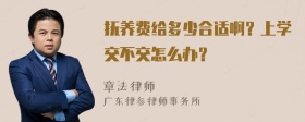 抚养费给多少合适啊？上学交不交怎么办？