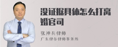 没证据具体怎么打离婚官司