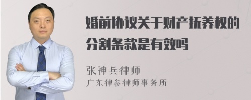 婚前协议关于财产抚养权的分割条款是有效吗