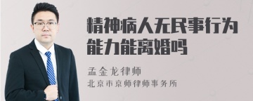 精神病人无民事行为能力能离婚吗