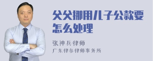 父父挪用儿子公款要怎么处理