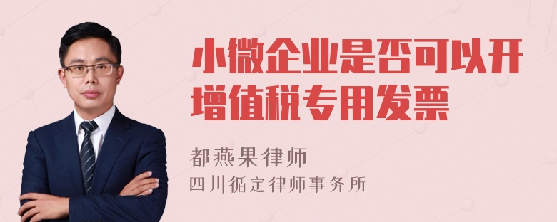 小微企业是否可以开增值税专用发票