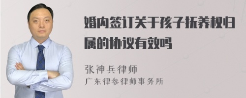 婚内签订关于孩子抚养权归属的协议有效吗