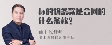 标的物条款是合同的什么条款？