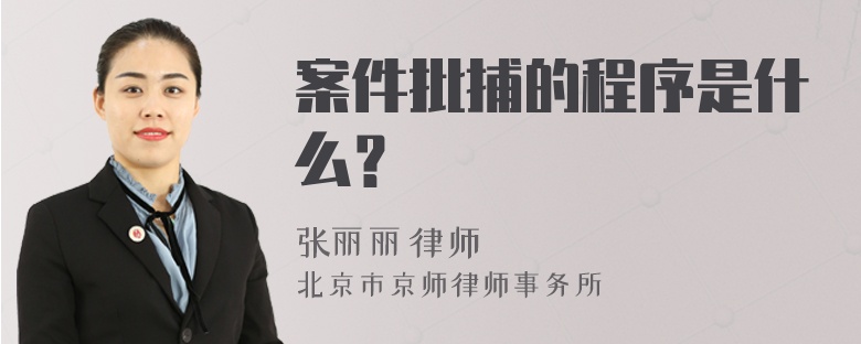 案件批捕的程序是什么？