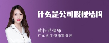 什么是公司股权结构