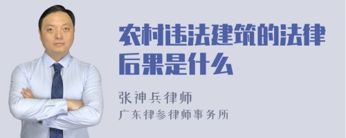 农村违法建筑的法律后果是什么