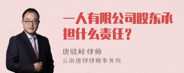 一人有限公司股东承担什么责任？