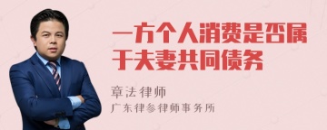 一方个人消费是否属于夫妻共同债务