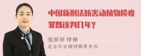 中国新刑法妨害动植物检疫罪既遂判几年?