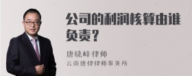 公司的利润核算由谁负责？