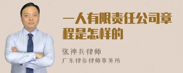 一人有限责任公司章程是怎样的