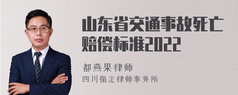 山东省交通事故死亡赔偿标准2022