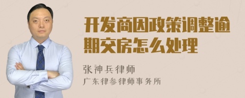 开发商因政策调整逾期交房怎么处理