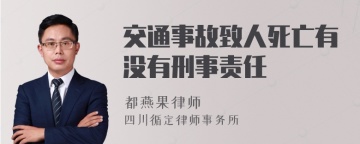 交通事故致人死亡有没有刑事责任