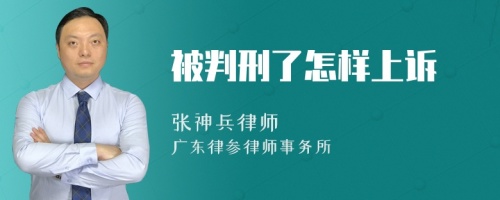 被判刑了怎样上诉