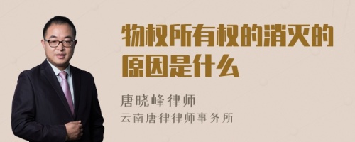 物权所有权的消灭的原因是什么