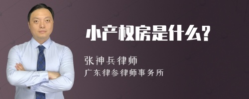 小产权房是什么?