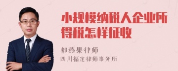 小规模纳税人企业所得税怎样征收