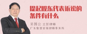 提起股东代表诉讼的条件有什么