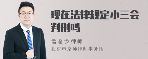 现在法律规定小三会判刑吗