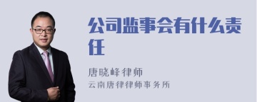 公司监事会有什么责任