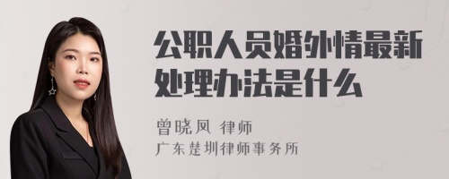 公职人员婚外情最新处理办法是什么