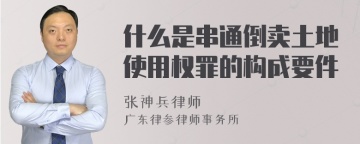 什么是串通倒卖土地使用权罪的构成要件