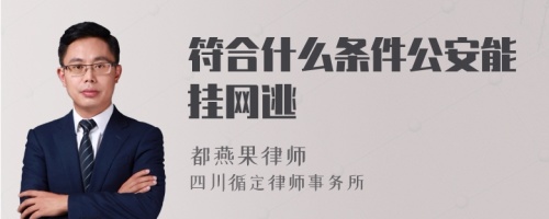 符合什么条件公安能挂网逃