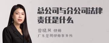 总公司与分公司法律责任是什么