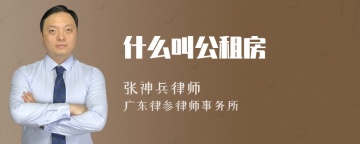 什么叫公租房