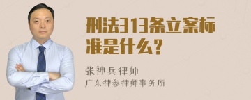 刑法313条立案标准是什么？