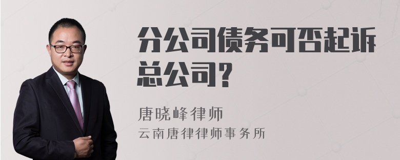 分公司债务可否起诉总公司？