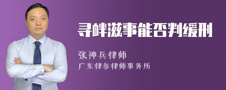 寻衅滋事能否判缓刑