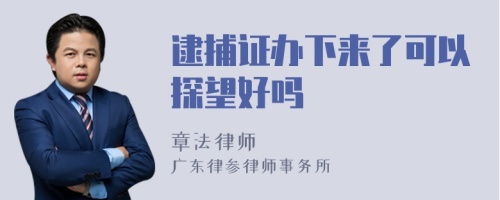 逮捕证办下来了可以探望好吗