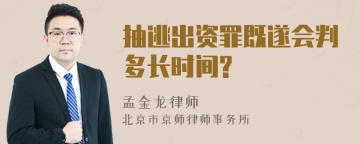 抽逃出资罪既遂会判多长时间?