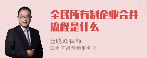 全民所有制企业合并流程是什么