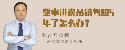 肇事逃逸吊销驾照5年了怎么办？