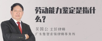 劳动能力鉴定是指什么？