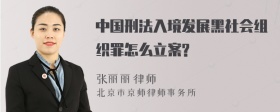 中国刑法入境发展黑社会组织罪怎么立案?