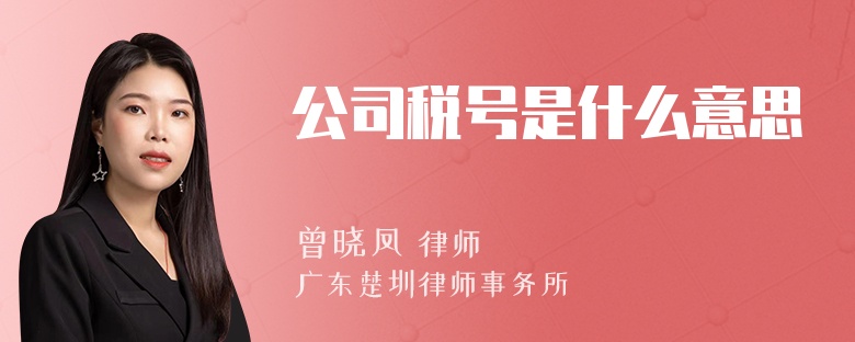 公司税号是什么意思