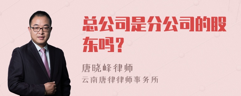 总公司是分公司的股东吗？