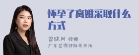 怀孕了离婚采取什么方式