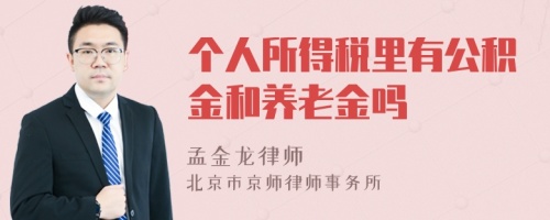 个人所得税里有公积金和养老金吗