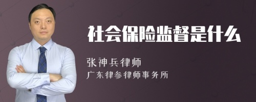 社会保险监督是什么