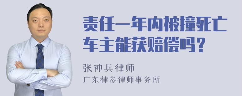 责任一年内被撞死亡车主能获赔偿吗？