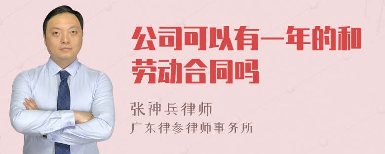 公司可以有一年的和劳动合同吗