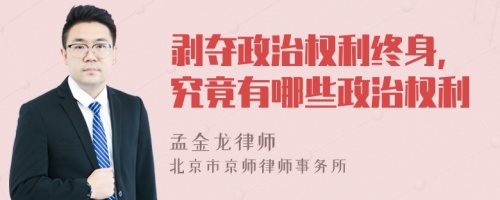 剥夺政治权利终身,究竟有哪些政治权利