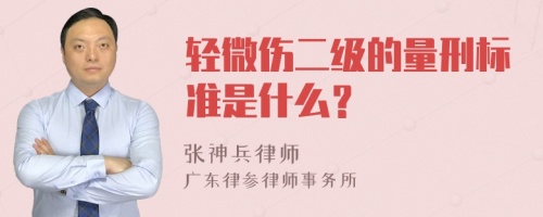 轻微伤二级的量刑标准是什么？