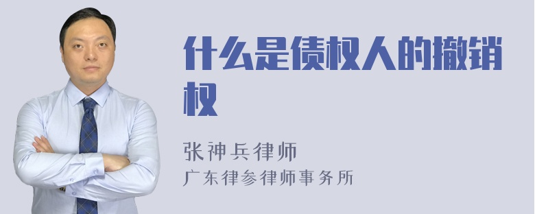 什么是债权人的撤销权